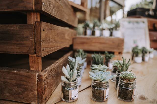 Les Contes Succulents 2