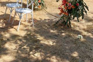 Mas de Baumes - 6