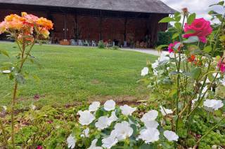 Au Domaine de Soignolles - 16