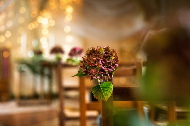 Florine TB Photographie - 3