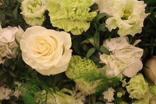 La Vie en Fleurs - 15