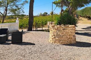 Domaine des Hautes Vignes - 7