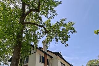 Domaine de Larbéou - 7