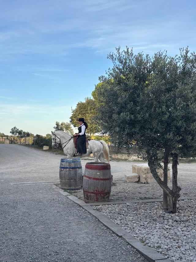 Domaine de Fangouse - 2