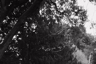 Stel - 8