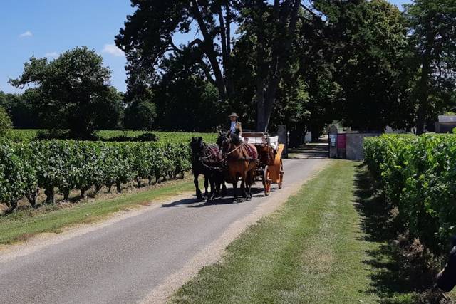 Haras de Muralis 4
