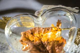 Phil Perani Photographie - 10