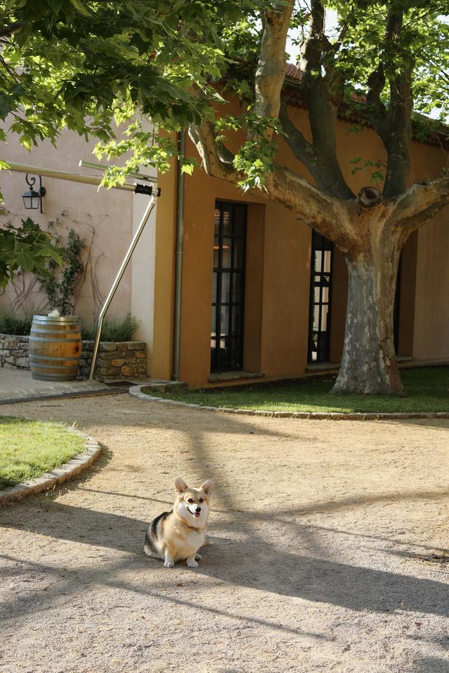 Domaine du Bourrian - 4