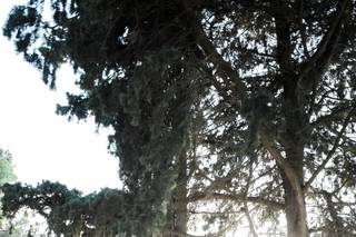 Domaine les Barrettes Agde - 8