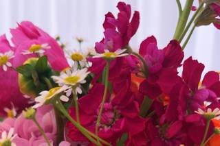 Coccinelle, Maître Artisan Fleuriste - 10