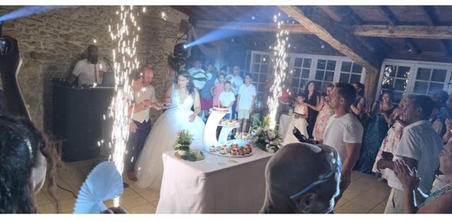 Hibiscus Animation - 1