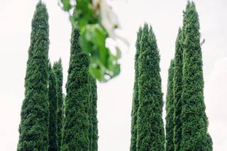 Amira Saadi Photographe - 6