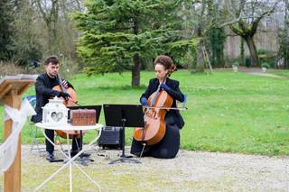 Limoncellos - 6