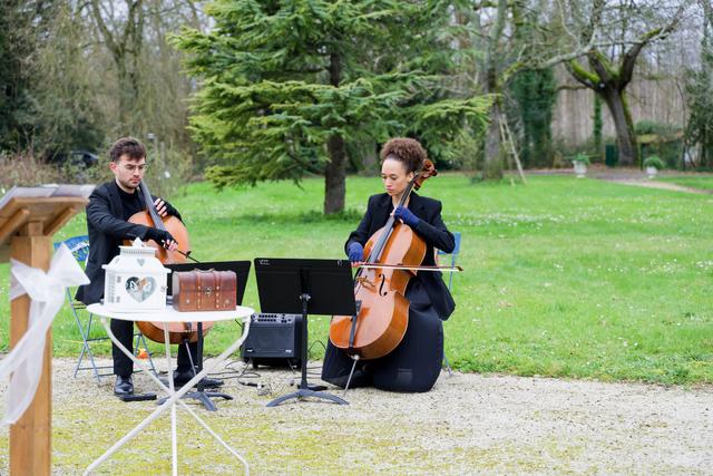 Limoncellos - 4