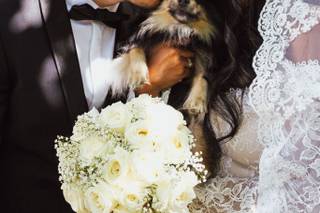 Nin & Co Photography - 5