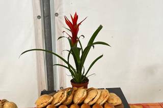 Kreyol Kitchen - 5