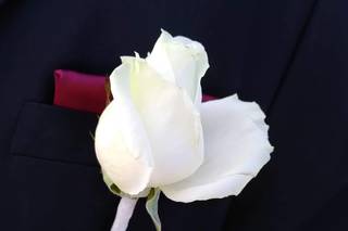 Rose de France Fleurs - 5