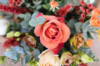 Ô Secret des Roses - 8