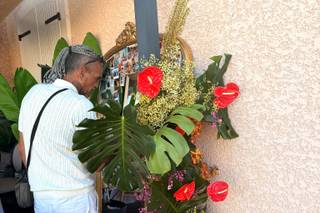 Corté Fleuriste - 7