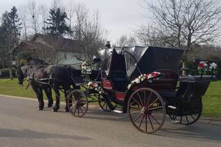 Attelage de Prestige - 4