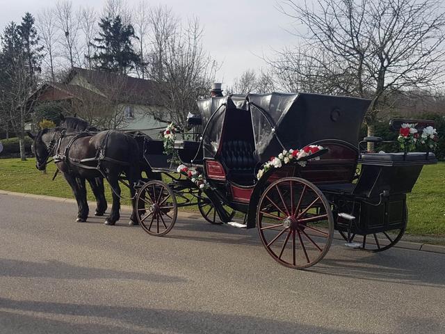 Attelage de Prestige - 1