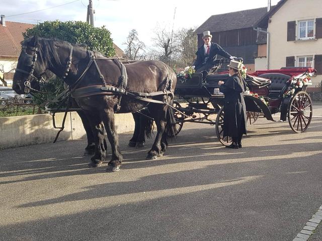 Attelage de Prestige - 2