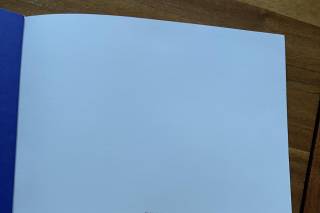 Tadam Photographe - 6