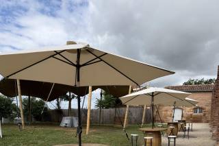 Orangerie Bonrepos-Riquet - 14
