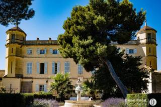 Château de Sénéguier - 9