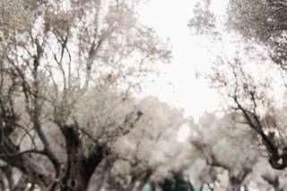 Jeremie Hkb Photographie - 12