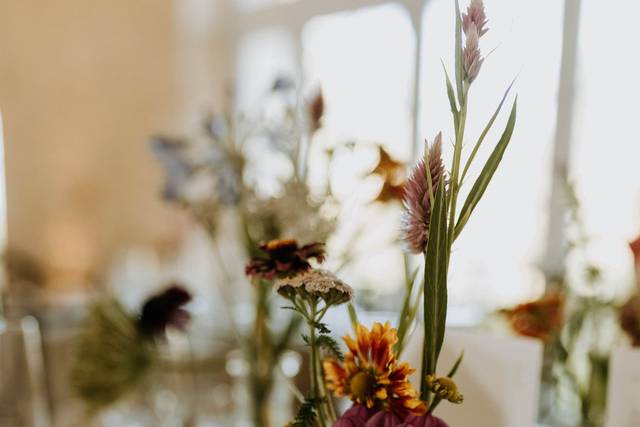 Fleurs et Pépins 1