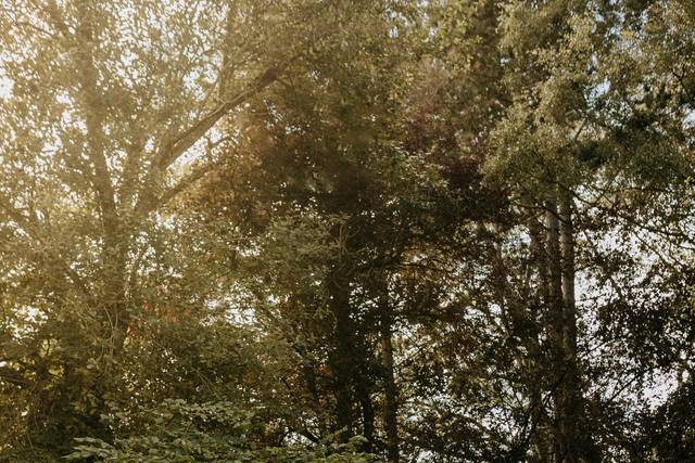 Fleurs et Pépins 3