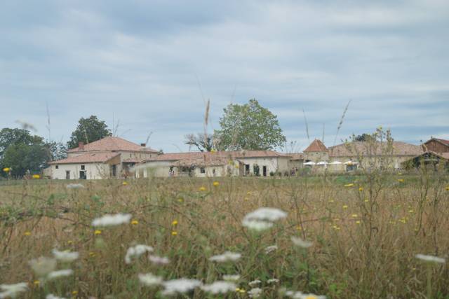 Domaine Le Herre 4