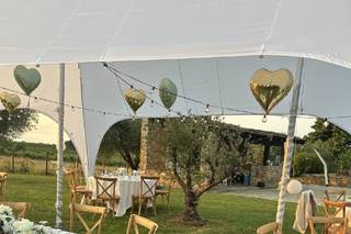 Domaine L’Alivetu - 6