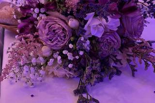 La Rose Blanche - 21