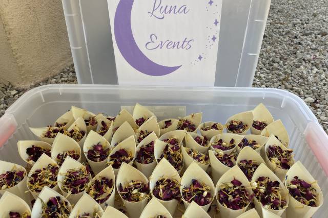 Luna Events 1