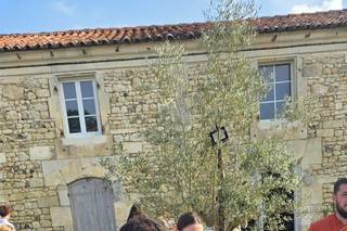 Domaine de la Motte - 7