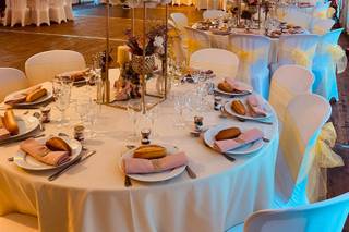 Yoshi Laurent Réception - 7