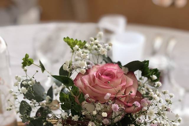 Fleur d'Elixir 2