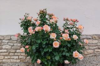Au Domaine de Soignolles - 32