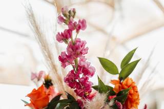 Le Jardin Secret - 5