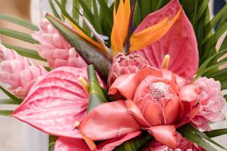 Fleurs Lointaines - 6