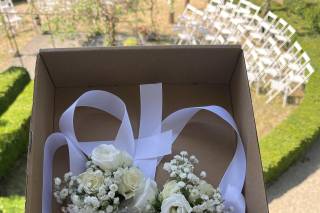 Tweedia Fleuriste - 7