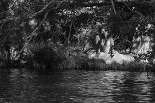 Camille Espigat Cance - 5