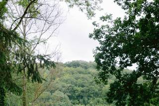 Lassilaa Photography - 6
