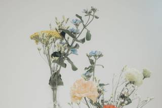 Le Cocon Végétal - 12