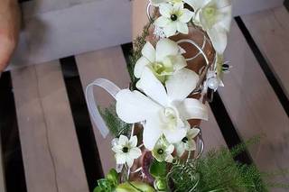 Atelier Aiyanna - 12