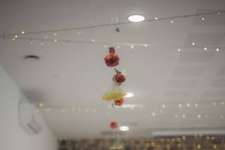 Le Cocon Végétal - 14