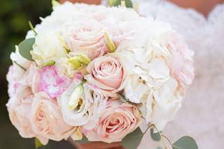 Mylène Bohard Photographie - 5