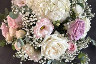 Actuel Flors - 6
